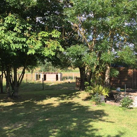 Au Mas Retz De Jade Bed & Breakfast Chauve Bagian luar foto