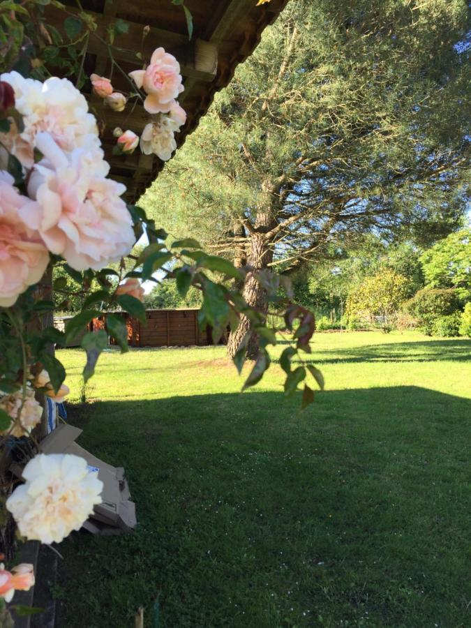 Au Mas Retz De Jade Bed & Breakfast Chauve Bagian luar foto