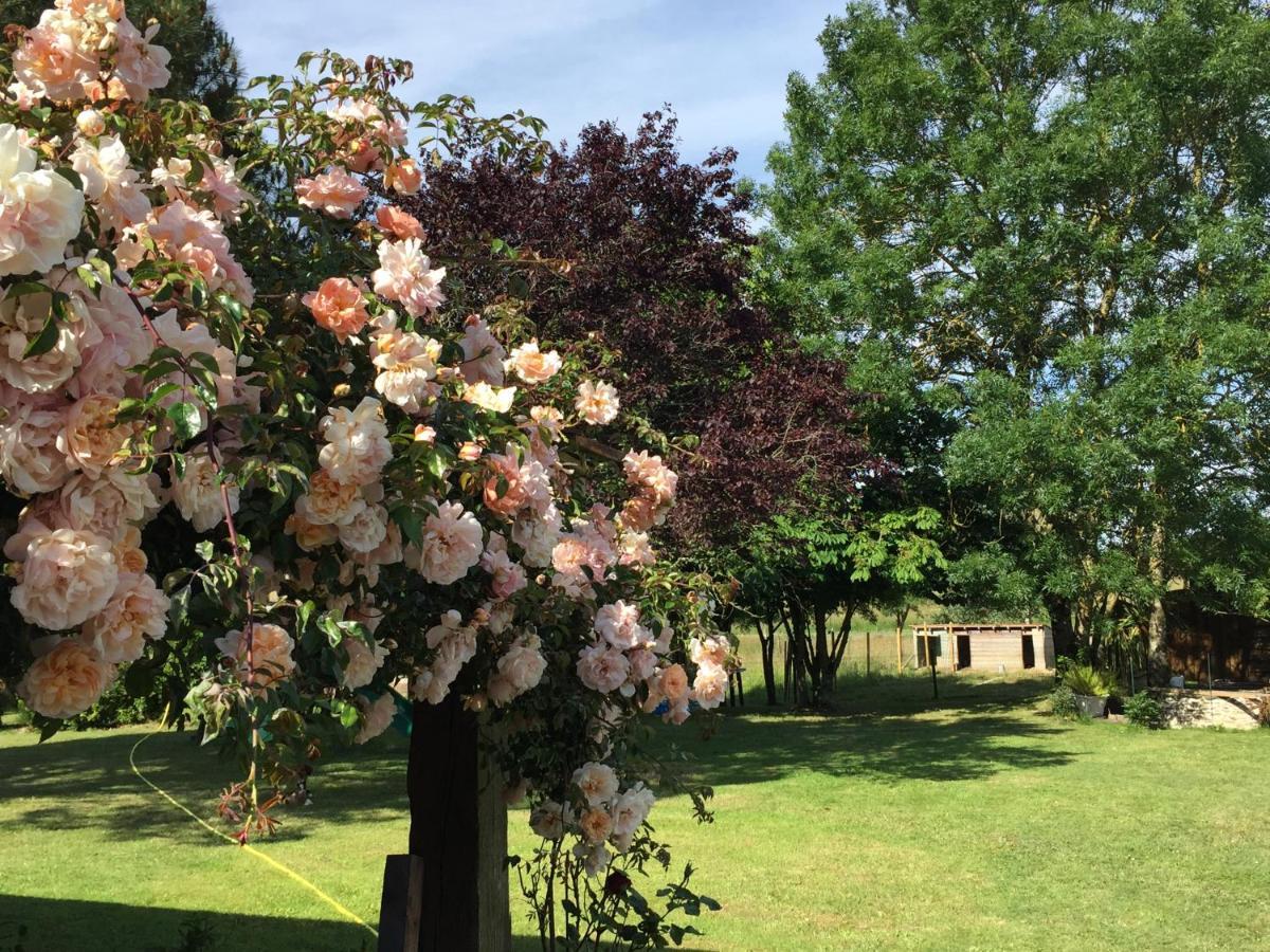 Au Mas Retz De Jade Bed & Breakfast Chauve Bagian luar foto