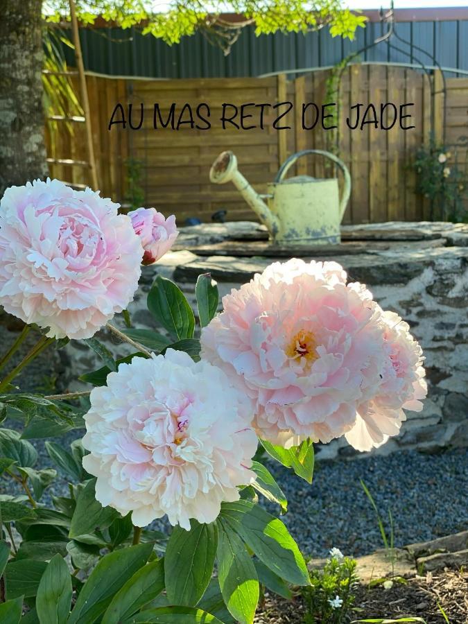 Au Mas Retz De Jade Bed & Breakfast Chauve Bagian luar foto