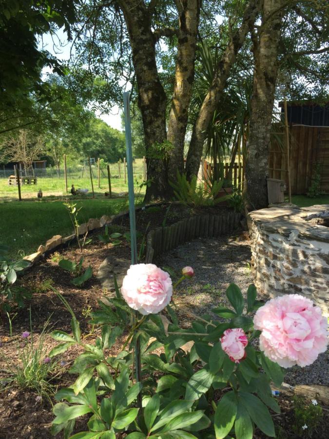 Au Mas Retz De Jade Bed & Breakfast Chauve Bagian luar foto
