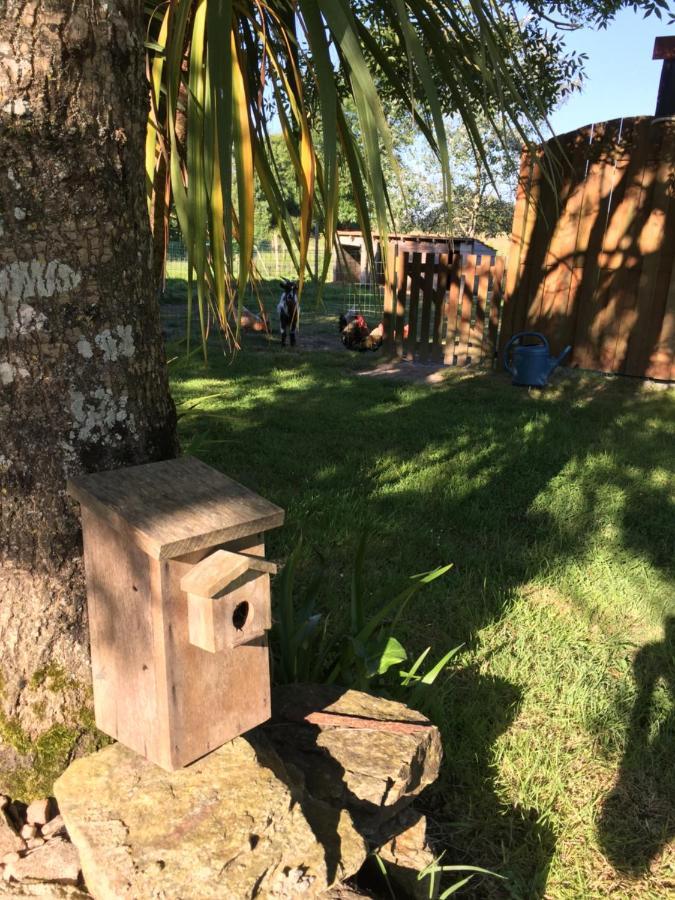 Au Mas Retz De Jade Bed & Breakfast Chauve Bagian luar foto